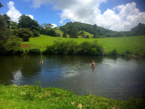Maleny Springs Farm - Hotels Melbourne 28