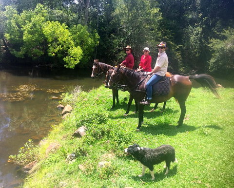 Maleny Springs Farm - Hotels Melbourne 33