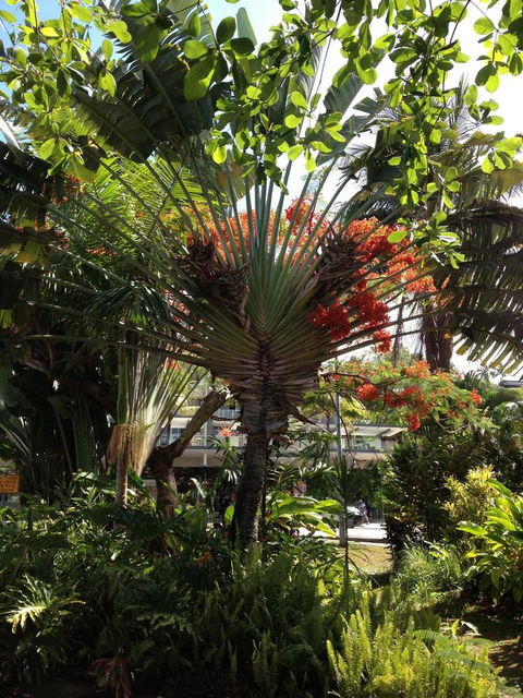 Port Douglas Apartments - Adults Only Oasis - Hotels Melbourne 39