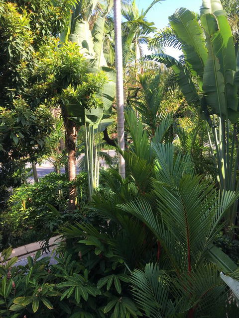 Port Douglas Apartments - Adults Only Oasis - Hotels Melbourne 1