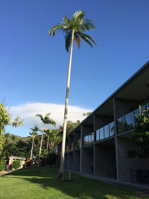 Arcadia Village Motel - Hotels Melbourne 36