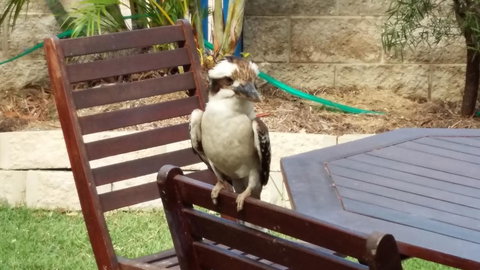 Tropical Palms Resort & 4WD Hire - Hotels Melbourne 31