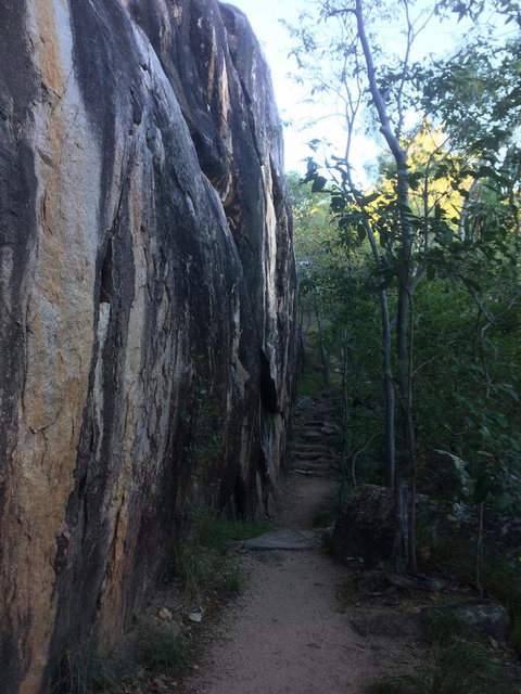 Tropical Palms Resort & 4WD Hire - Hotels Melbourne 16