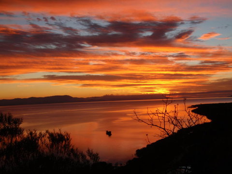 Tropical Palms Resort & 4WD Hire - Hotels Melbourne 30