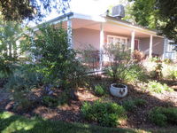 Book Irymple Accommodation Vacations Hotels Melbourne Hotels Melbourne