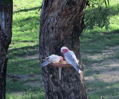 A Stanthorpe Getaway - Hotels Melbourne 2