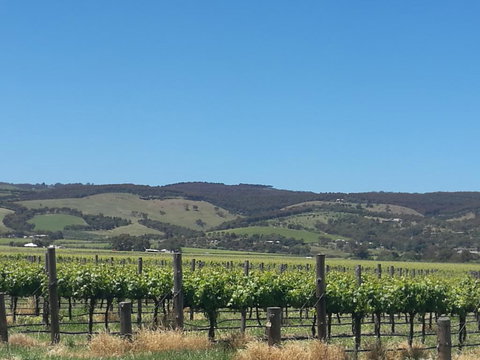 A Victor Harbour Retreat Aldinga Tony's Music Cottage - Hotels Melbourne 3