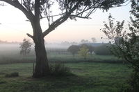 Book Heyfield Accommodation Vacations Hotels Melbourne Hotels Melbourne