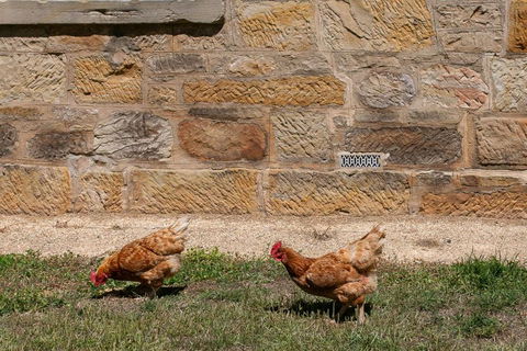 Historic Sandstone Ross Farmhouse - Hotels Melbourne 2