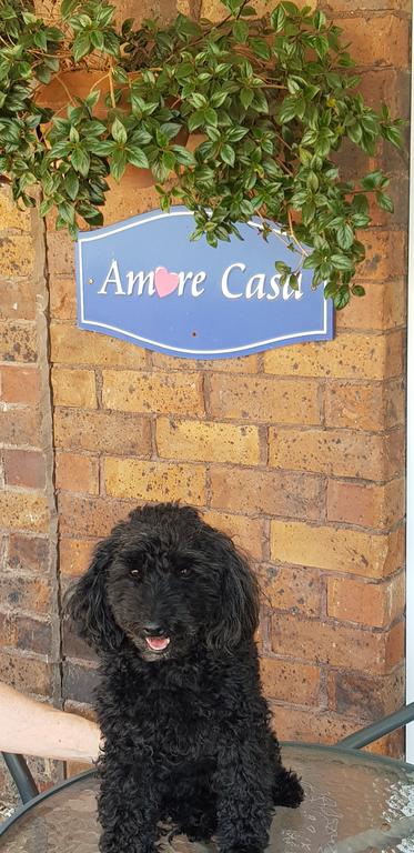 Amore Casa Tenterfield - Hotels Melbourne 2