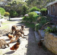 Anchorage Apartments - Hotels Melbourne