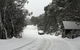 MAGNIFICENT SKIING ON MOUNT BULLER - thumb 3