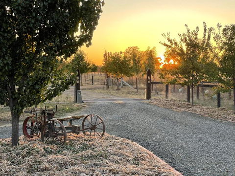 Maple Lane Farm Stay - Hotels Melbourne 0