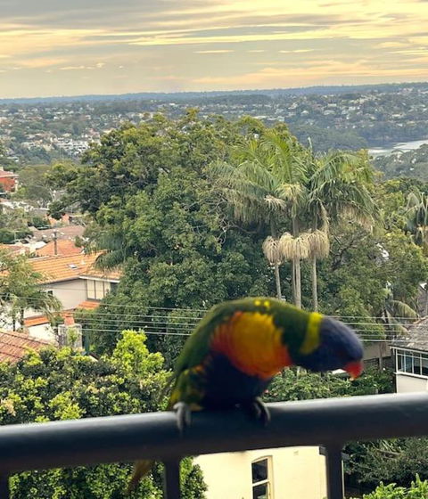 Mosman Views, 2bed, Parking, 15min Walk To Beach - Hotels Melbourne 1