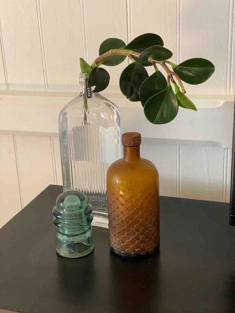 Nice To Have So Much Privacy With No Other Houses Near By - Hotels Melbourne 3