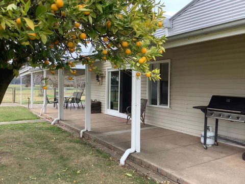 Orange Tree Cottage - Hotels Melbourne 0