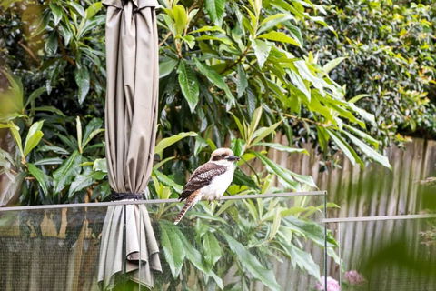 Quaint Queen Room - Central Location At Pymble - Shared Bathroom - Hotels Melbourne 1