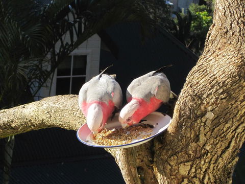 Avoca Breezes - Hotels Melbourne 2