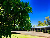 Book Saint George Accommodation Vacations Hotels Melbourne Hotels Melbourne