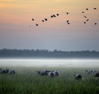 Bamurru Plains - Hotels Melbourne
