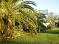 Book Winton Accommodation Vacations Hotels Melbourne Hotels Melbourne