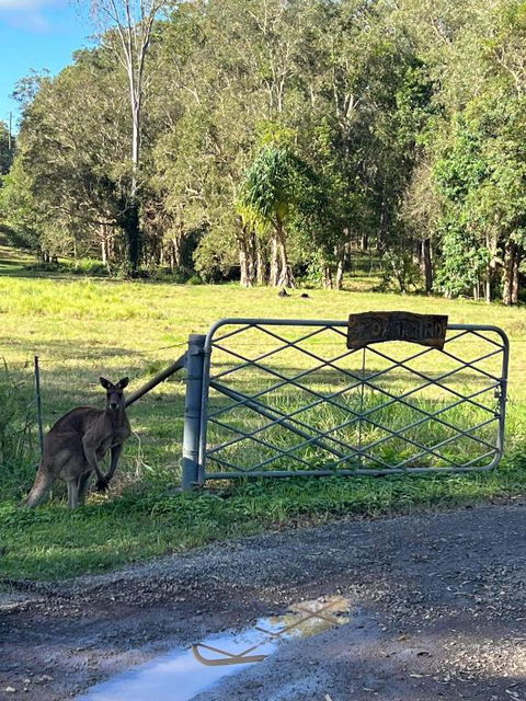 Rural Self Contained 3 Bedroom Cottage On Acreage, - Hotels Melbourne 2