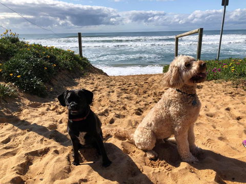 Sanctuary Retreat - Hotels Melbourne 2