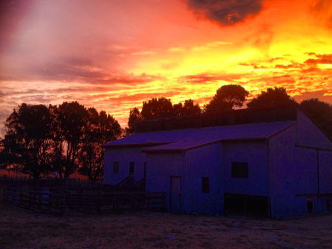 Beggs Farmstay B&B - Hotels Melbourne 1