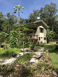 Book Cow Bay Accommodation Vacations Hotels Melbourne Hotels Melbourne