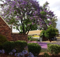 Belvoir Village Motel  Apartments Wodonga - Hotels Melbourne