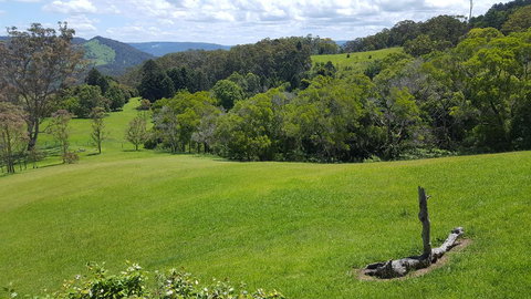 Blue Summit Cottages - Hotels Melbourne 3