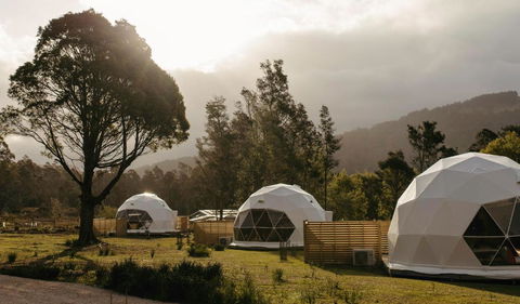 Wilder Tasmania - Hotels Melbourne 1