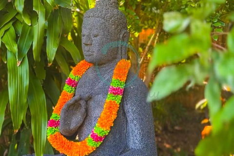 Zenhouse: 6-BR Balinese Tropical Oasis In Nightcliff Central - Hotels Melbourne 3