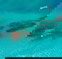 Private Tangalooma Wrecks Tour - Hotels Melbourne