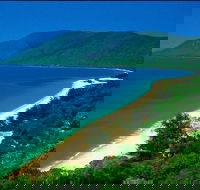 Cairns Reef and Rainforest Combo Daintree Rainforest and the Great Barrier Reef - Hotels Melbourne