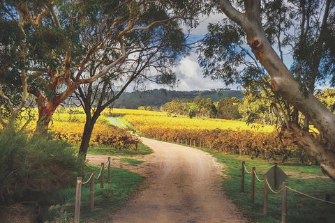 McLaren Vale Winery Small Group Tour With Wine Tasting And Lunch - Hotels Melbourne 1