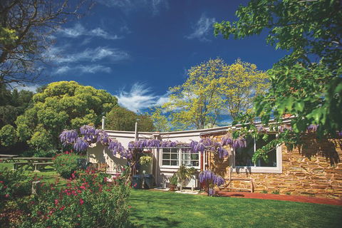 McLaren Vale Winery Small Group Tour With Wine Tasting And Lunch - Hotels Melbourne 2