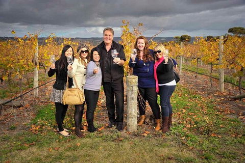McLaren Vale Winery Small Group Tour With Wine Tasting And Lunch - Hotels Melbourne 3