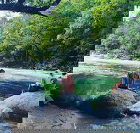 Afternoon Half-Day Daintree Rainforest and River Tour - Hotels Melbourne