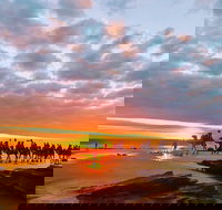 1 Hour Broome Sunset Camel Tour - Hotels Melbourne