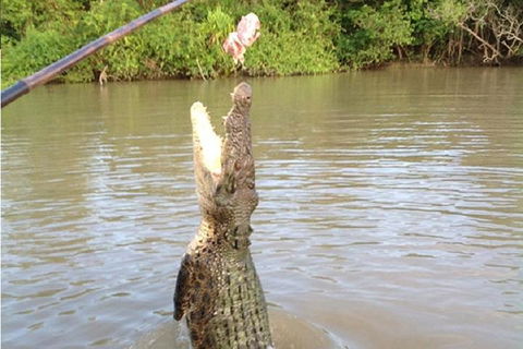 Litchfield National Park And Jumping Crocodile Cruise - Hotels Melbourne 2