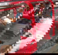 Full-Day Private Blue Mountains Tour with River Cruise - Hotels Melbourne