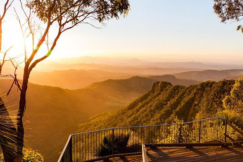 O'Reilly's & Lamington National Park Incl. Alpaca Farm + Vineyard - Hotels Melbourne 0