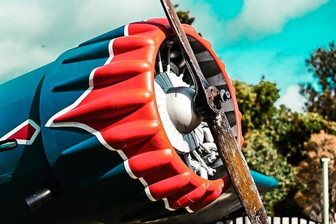 O'Reilly's & Lamington National Park Incl. Alpaca Farm + Vineyard - Hotels Melbourne 1