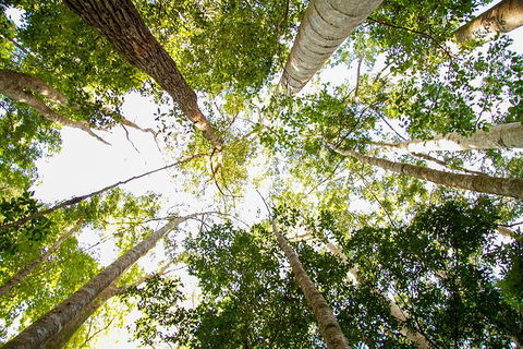 Fraser Island 4WD Tour From Noosa - Hotels Melbourne 0