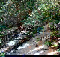 Fraser Island 4WD Tour from Rainbow Beach - Hotels Melbourne