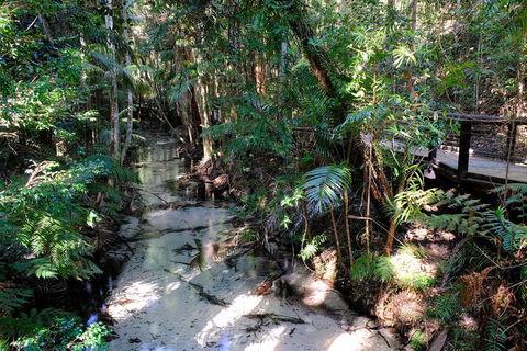 Fraser Island 4WD Tour From Rainbow Beach - Hotels Melbourne 0