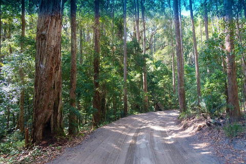 Fraser Island 4WD Tour From Rainbow Beach - Hotels Melbourne 4