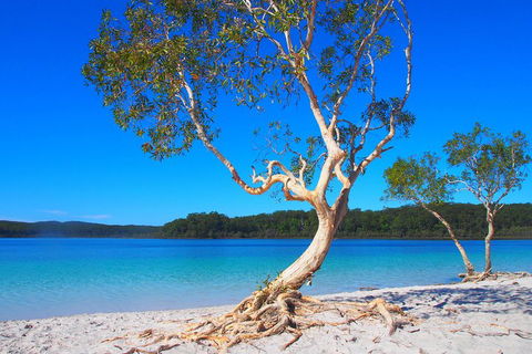 Fraser Island 4WD Tour From Rainbow Beach - Hotels Melbourne 5