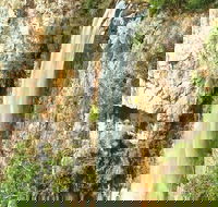 Private Tour - Rainforest  Waterfalls Extravaganza - Hotels Melbourne